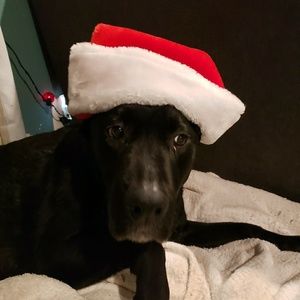 Meet your Posher, Jaylyn